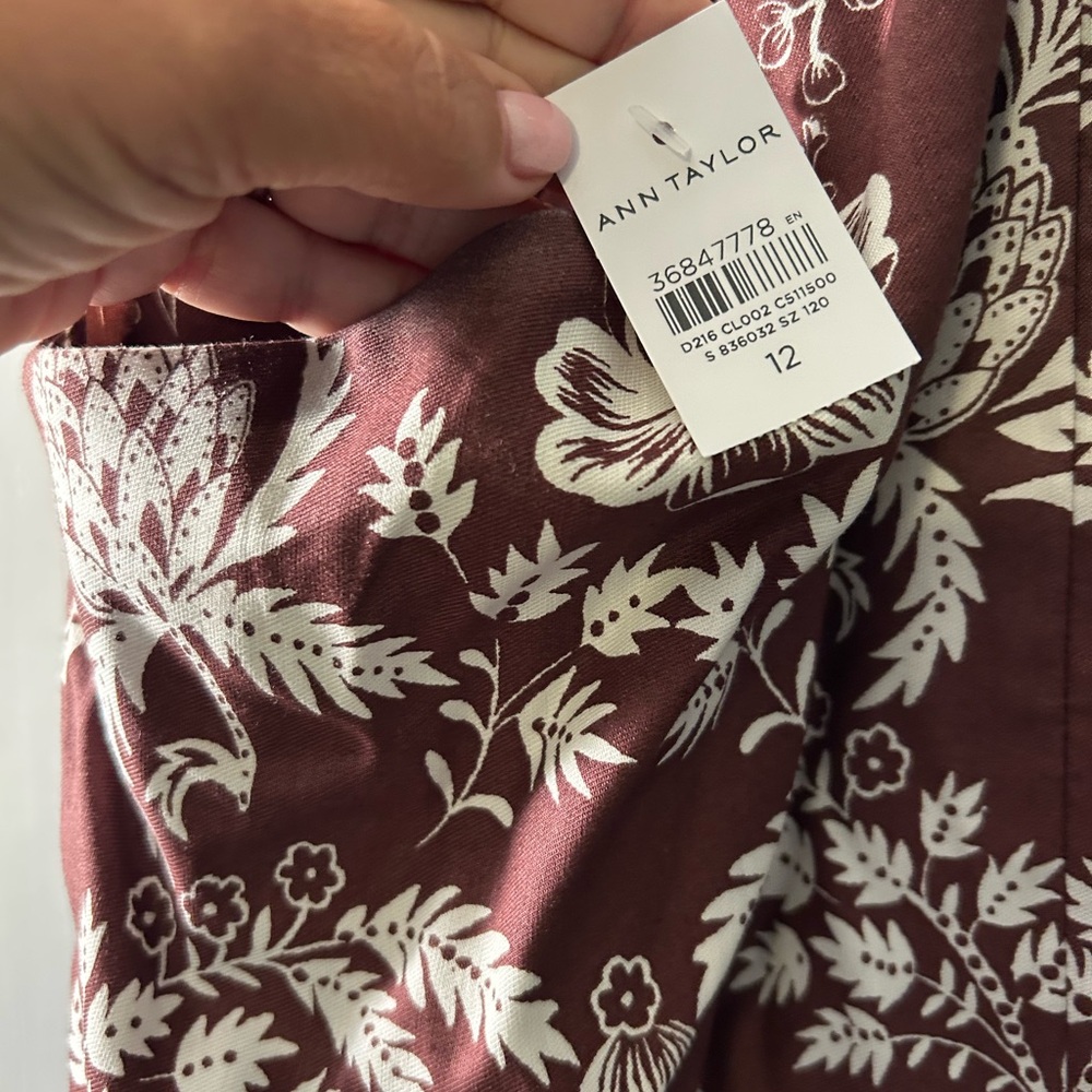 Ann Taylor dress